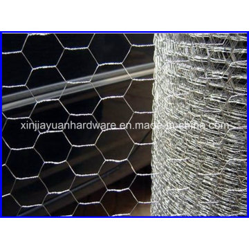 Malla de alambre hexagonal / Malla de alambre de pollo / Malla de alambre hexagonal galvanizada